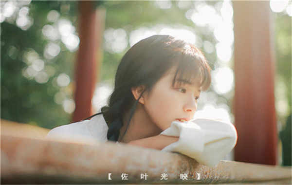 乌拉特中胎儿性别鉴定需要多少钱(胎儿性别鉴定的方法)